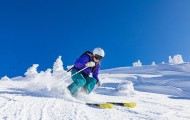 ayx.com-五季磨一剑，Scout闪耀登场！老鹰球迷沸腾，这是我们的英雄！